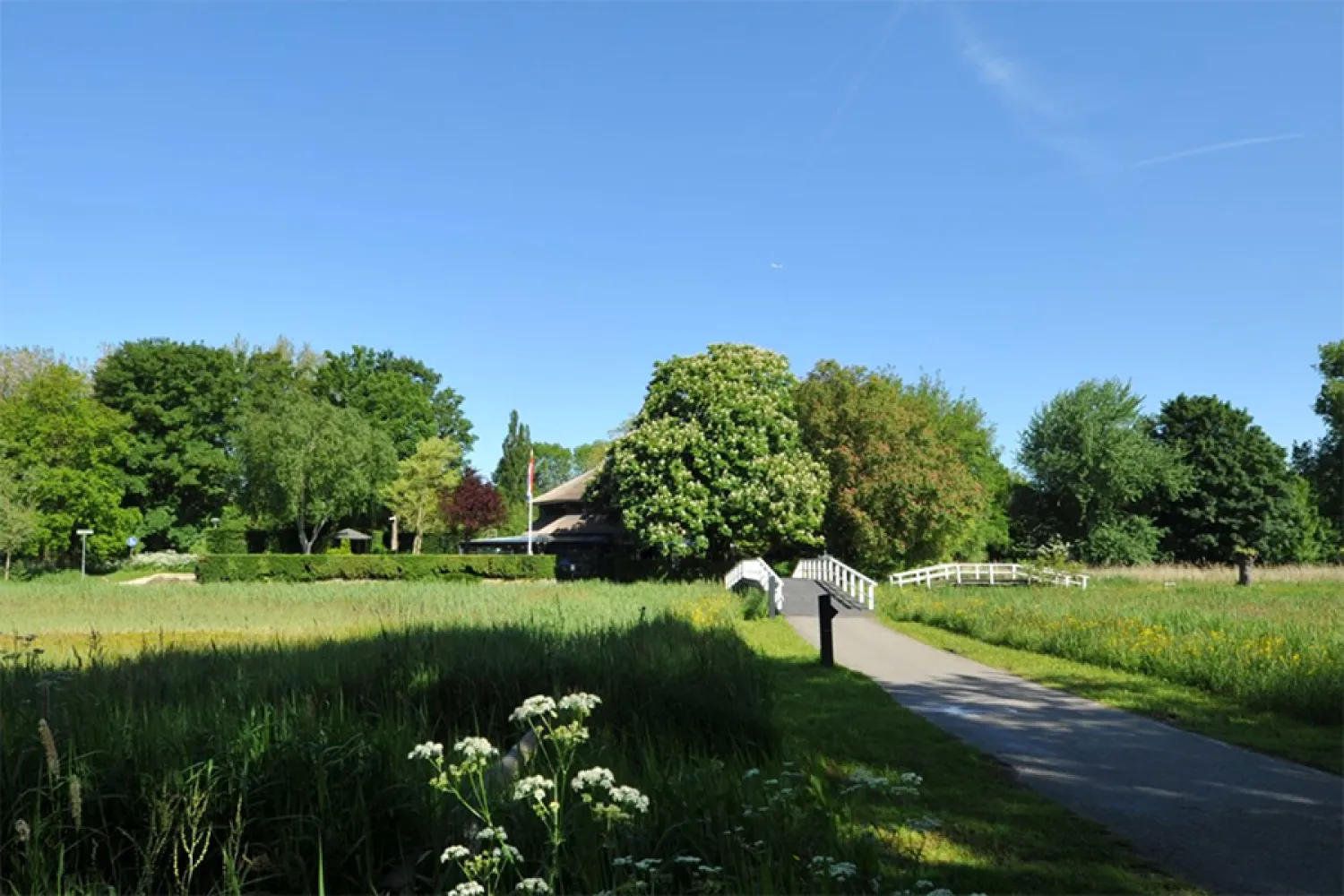 Buiten bij Het Rieten Dak